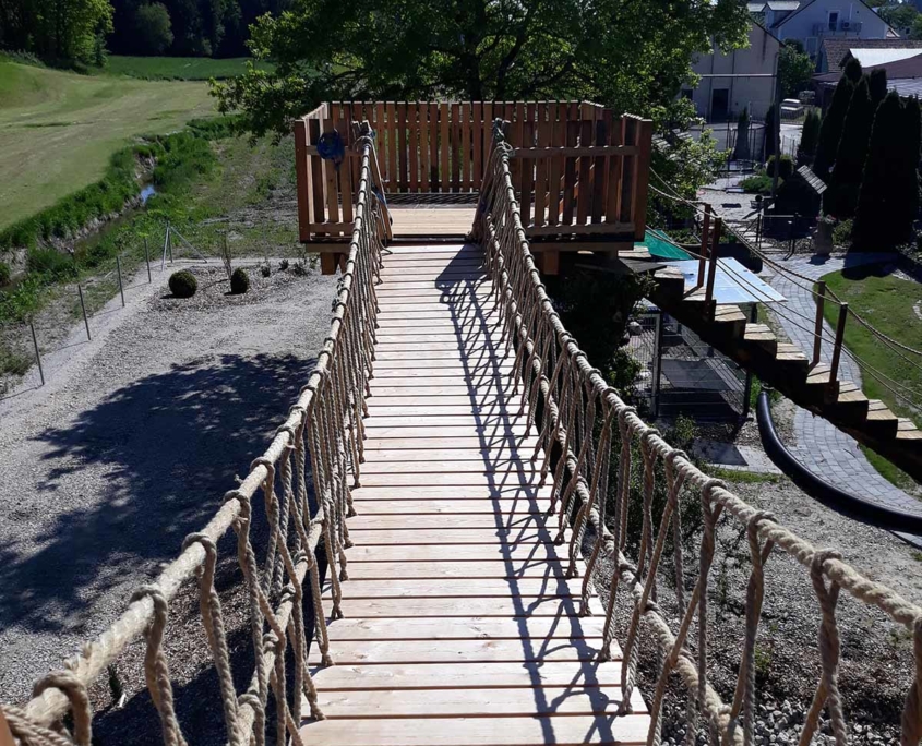 kota-baum3 Zugang zur Kota